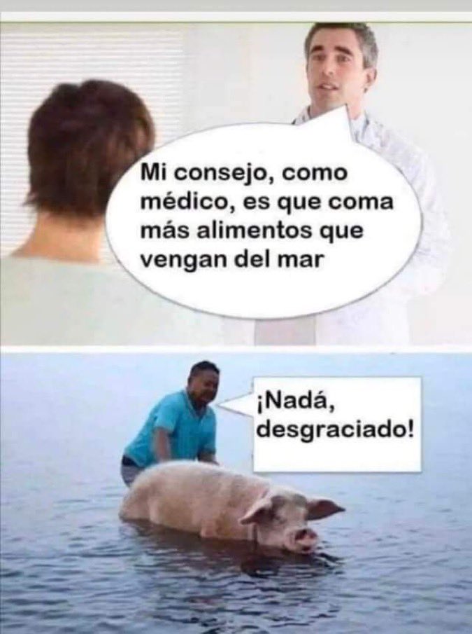🐷🐽🐖🥓
