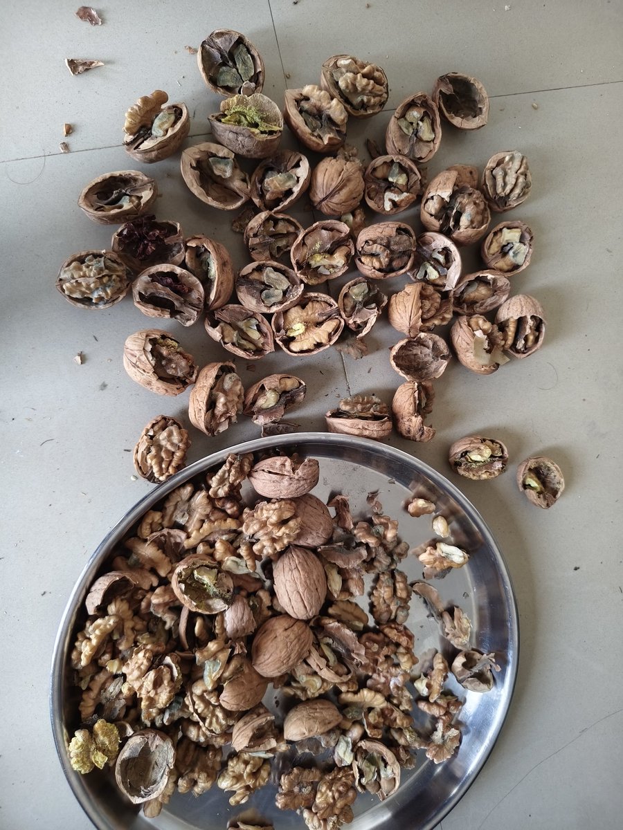 <a href="/FarmleyIn/">Farmley</a> <a href="/farmleycares/">Farmley Cares</a> <a href="/Flipkart/">Flipkart</a> <a href="/flipkartsupport/">FlipkartSupport</a> I bought walnut from Flipkart but worst quality of walnut received and I need my 100% money back,i already mailed Farmley on 17th-Nov-24 but till now no resolution provided from Farmley side.pls take your product back &amp; refund.