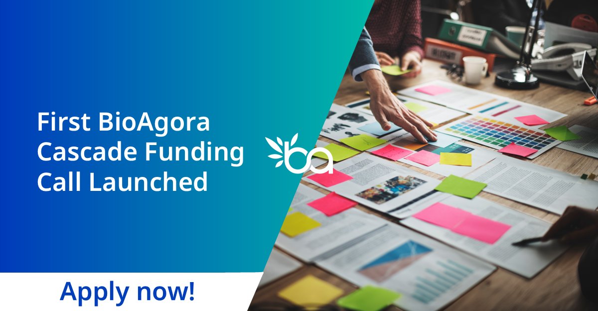 BioAgora (@bioagoraeu) on Twitter photo 📢Funding Opportunity Alert!📢
BioAgora & <a href="/NINAnature/">NINAnature</a> launch 1st BioAgora Cascade Funding Call to strengthen capacity at the Science-Policy-Society Interface (SPSI)!
💡Max. funding per project: €175,000
📅Apply until 27.01.2025
ℹ️Learn more & apply 👉
bioagora.eu/2024/11/27/fun… 📢Funding Opportunity Alert!📢
BioAgora & <a href="/NINAnature/">NINAnature</a> launch 1st BioAgora Cascade Funding Call to strengthen capacity at the Science-Policy-Society Interface (SPSI)!
💡Max. funding per project: €175,000
📅Apply until 27.01.2025
ℹ️Learn more & apply 👉
bioagora.eu/2024/11/27/fun…