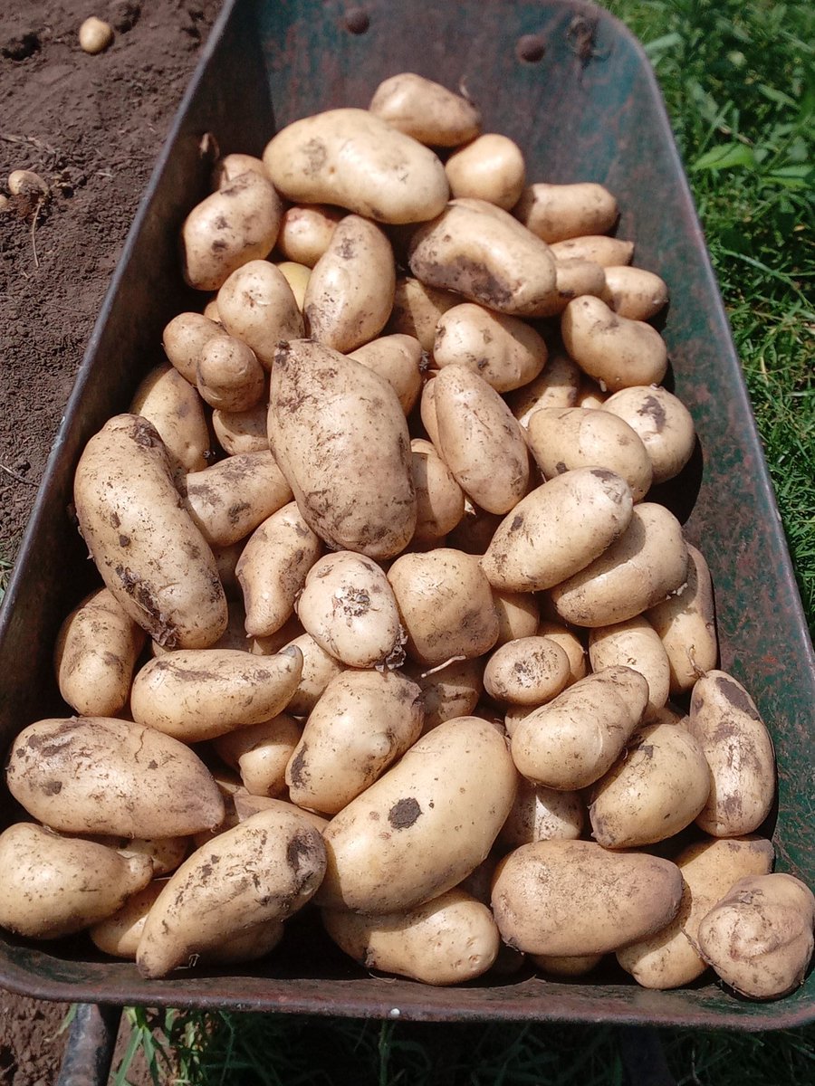 You'll eat the fruit of your labor; blessings and prosperity will be your Ps128:2 🙌

10 kg E100 📍Motjane for orders call 76/903 5186  

Please retweet my customer could be on your TL 🙏🤗
#TiniTwitter