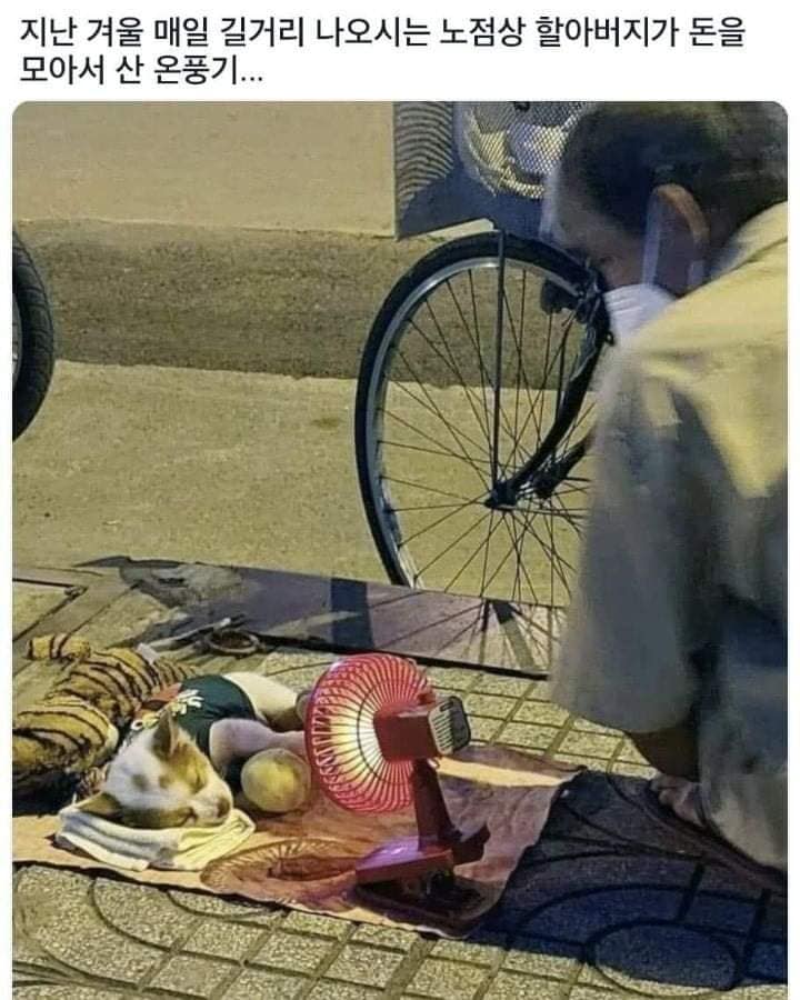 동물짤 모으는 말랭이 (@malrang_s_) on Twitter photo 