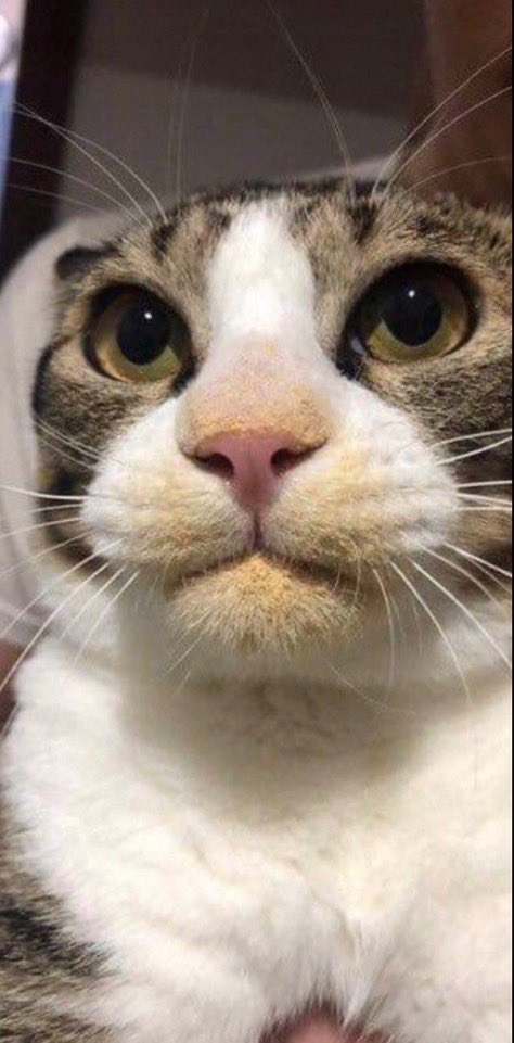 犯人が見つかりました…