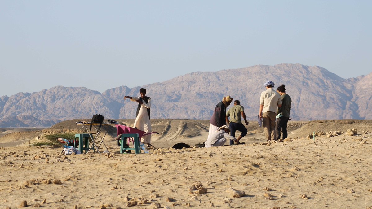 PCMA_UW's tweet photo. #PCMAintheField🔸Polish-American @BerenikeArchaeo is back in Egypt!
⛏️Team led by Dr. Mariusz Gwiazda (PCMA UW) is uncovering tombs related to the Blemmyan tribes who controlled #Berenike in late antiquity.
The project is funded by @NCN_PL Sonata 17 grant.
#Archaeology #Egypt https://t.co/usWt5fjYym