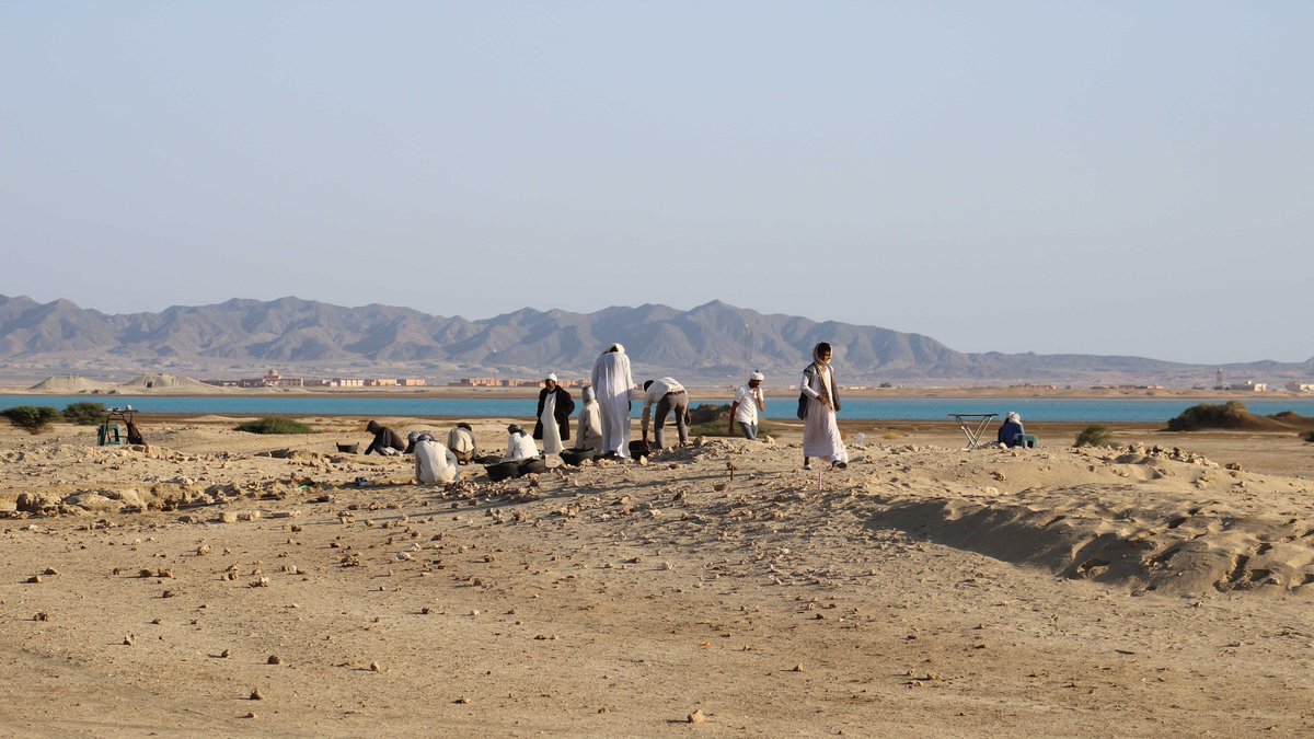 PCMA_UW's tweet photo. #PCMAintheField🔸Polish-American @BerenikeArchaeo is back in Egypt!
⛏️Team led by Dr. Mariusz Gwiazda (PCMA UW) is uncovering tombs related to the Blemmyan tribes who controlled #Berenike in late antiquity.
The project is funded by @NCN_PL Sonata 17 grant.
#Archaeology #Egypt https://t.co/usWt5fjYym