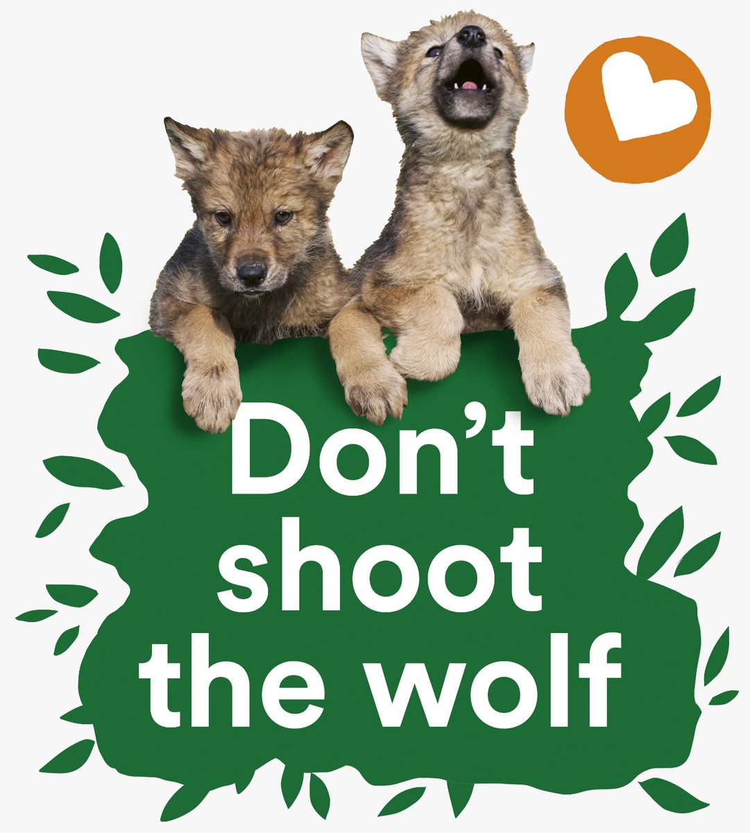 De wolf dreigt volgende week zijn strikt beschermde status onder de Bern Conventie te verliezen. Maar de <a href="/PartijvdDieren/">Partij voor de Dieren</a> blijft er alles aan doen om de wolf te beschermen.

Met 11 Europese partijen voor de dieren komen we in actie 🐺💚

⤵️
europa.partijvoordedieren.nl/nieuws/europes…