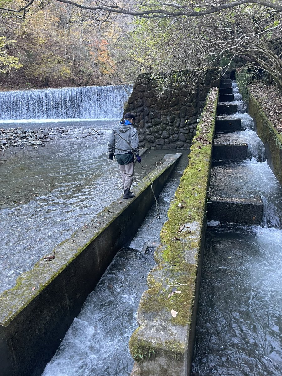 mahari212's tweet photo. 魚道まで山トレ！
パトロール異常なし🫡

#丹沢魚道
#魚道LOVE https://t.co/Dyub6ovESb