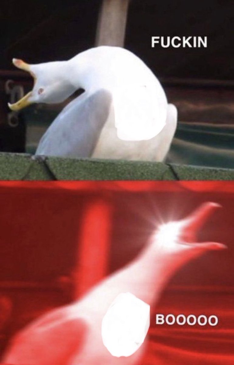 Andy Houston tweet media