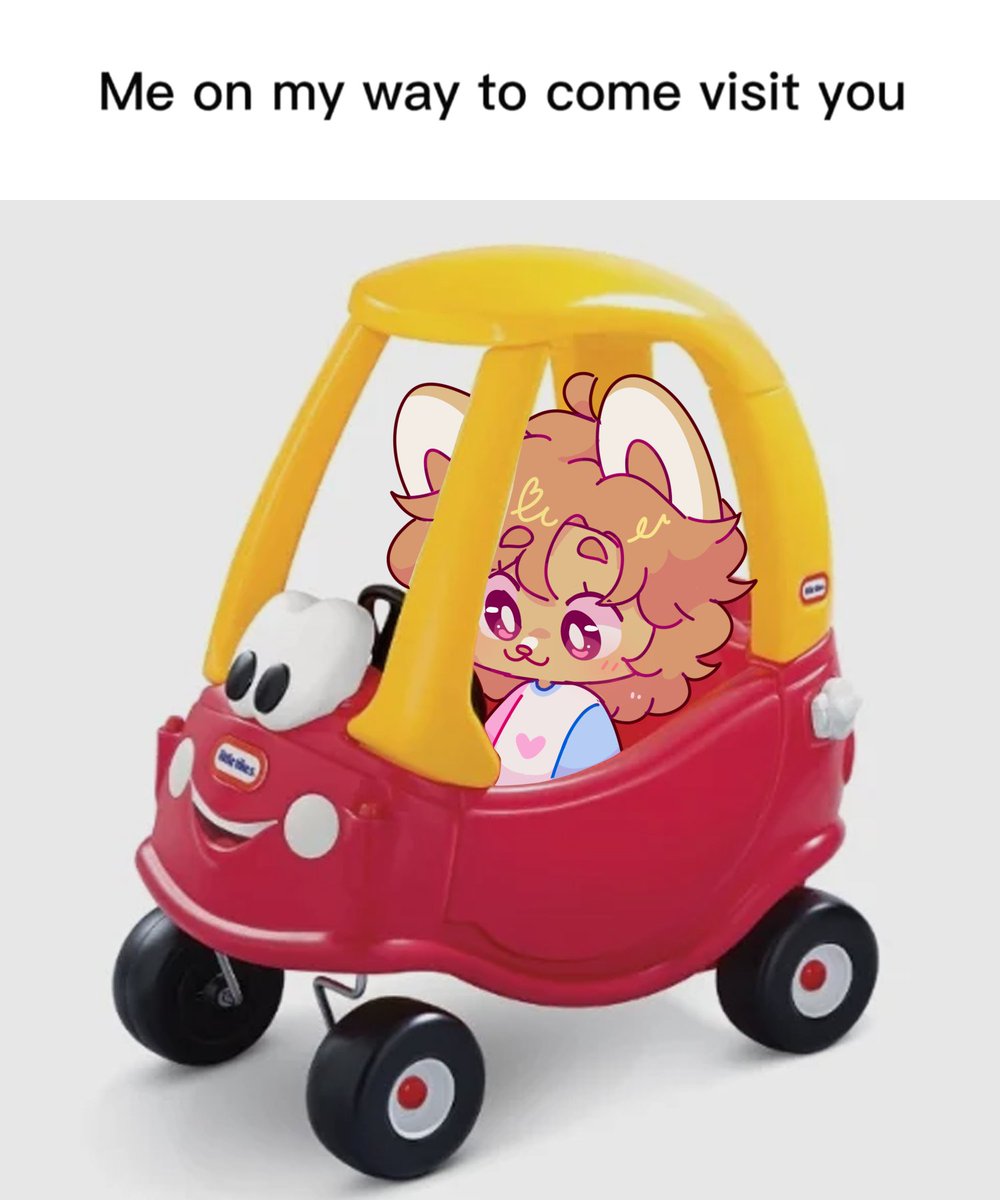 the silly in her silly lil car 🐶🚗