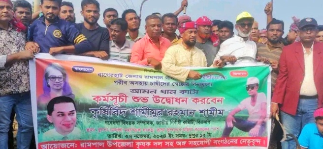 কৃষকের ধান কেটে ঘরে তুলে দিলেন কৃষিবিদ শামীম