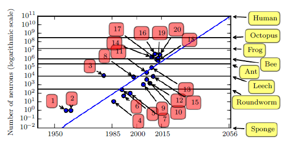 World Understood tweet media