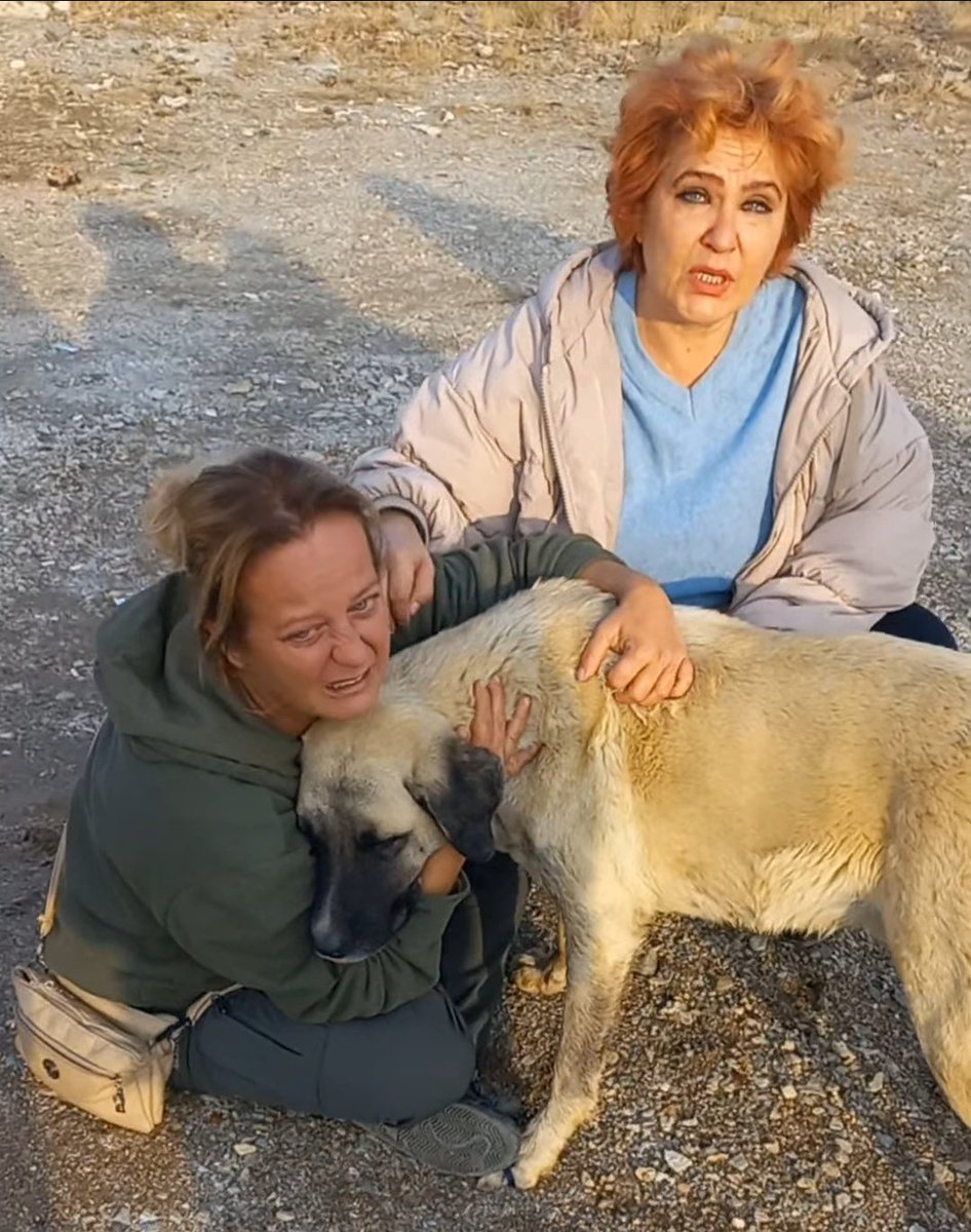bu kadınları toplayıp rehabilite etsek ülke rahat bir nefes alır..