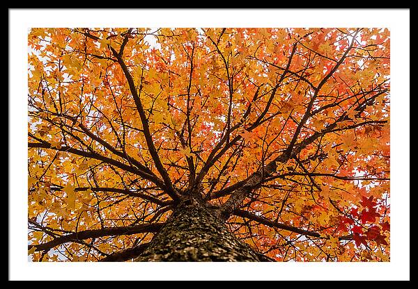 hellosaurav's tweet image. Take 25% Off #WallArt (#CanvasPrints, #FramedPrints, #Posters, #WoodPrints, #MetalPrints, #AcrylicPrints, and #Tapestries). Offer ends 11:59 PM Eastern U.S. time #SauravPhoto
fineartamerica.com/profiles/saura…