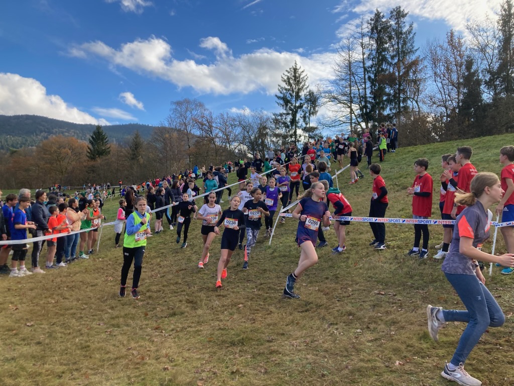 DSDEN des Vosges tweet media