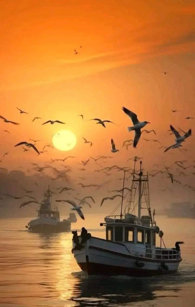 ‏♔ڄٌۅۅۅًد🕊♔ tweet media