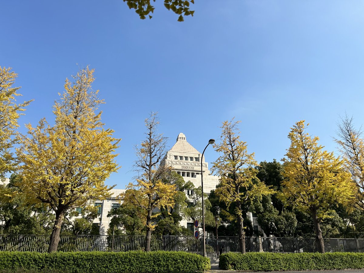 新日本婦人の会滋賀県本部 tweet media