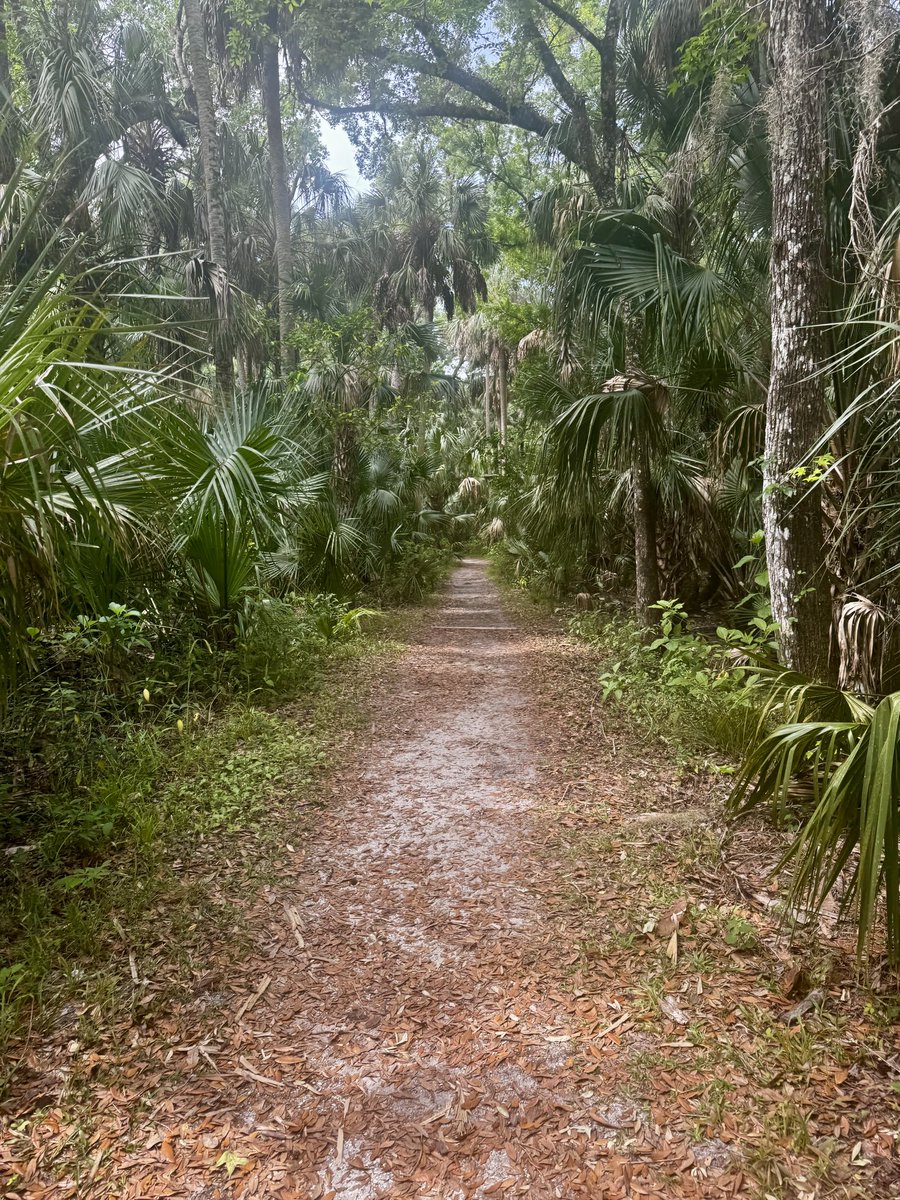 MelsMisadventures tweet media