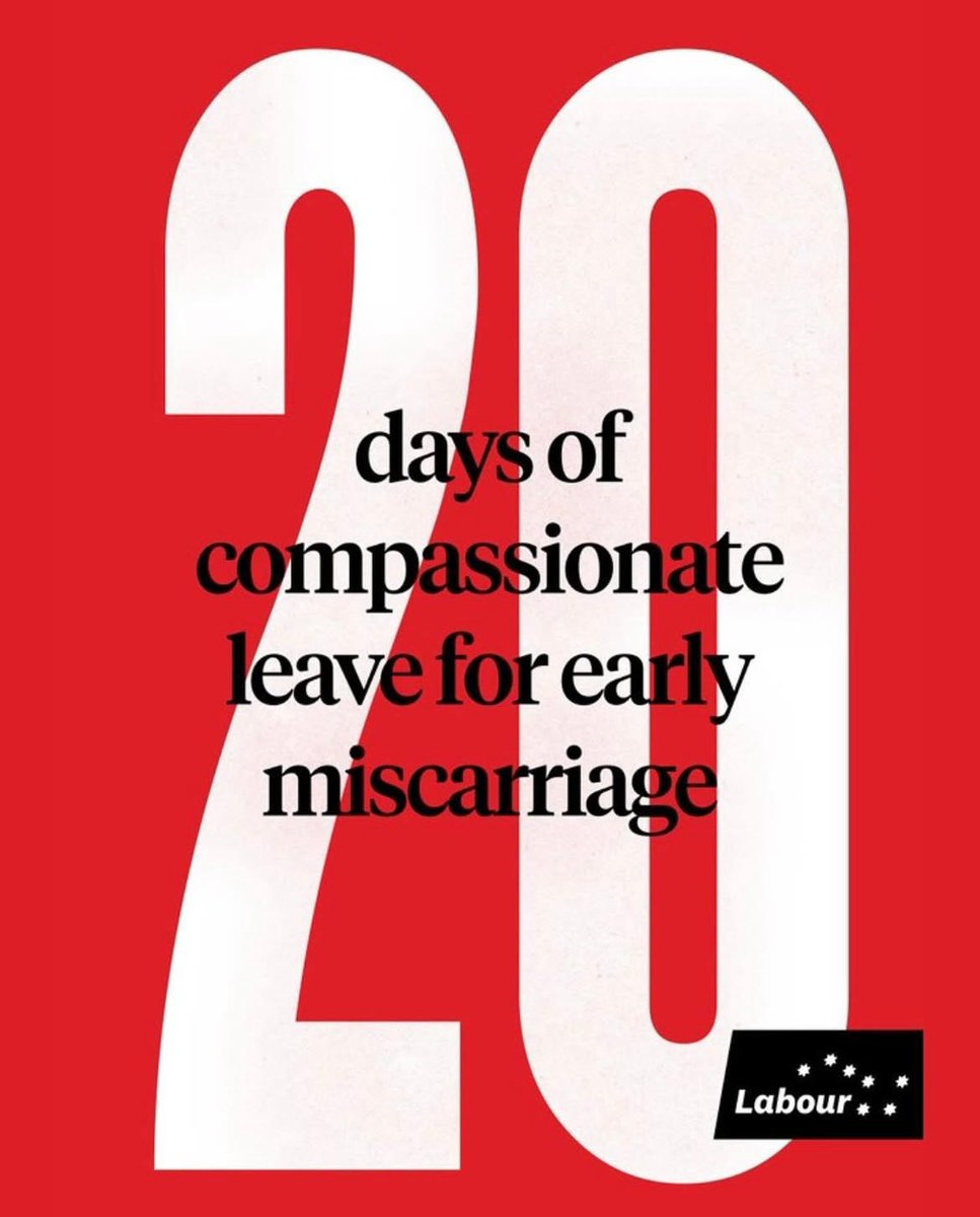 I've fought for reproductive rights all my life.

In 2021, I introduced a Reproductive Leave Bill to provide women experiencing pregnancy loss and fertility loss with compassionate leave. 

Remember, on Friday, vote for the @labourparty No 1.