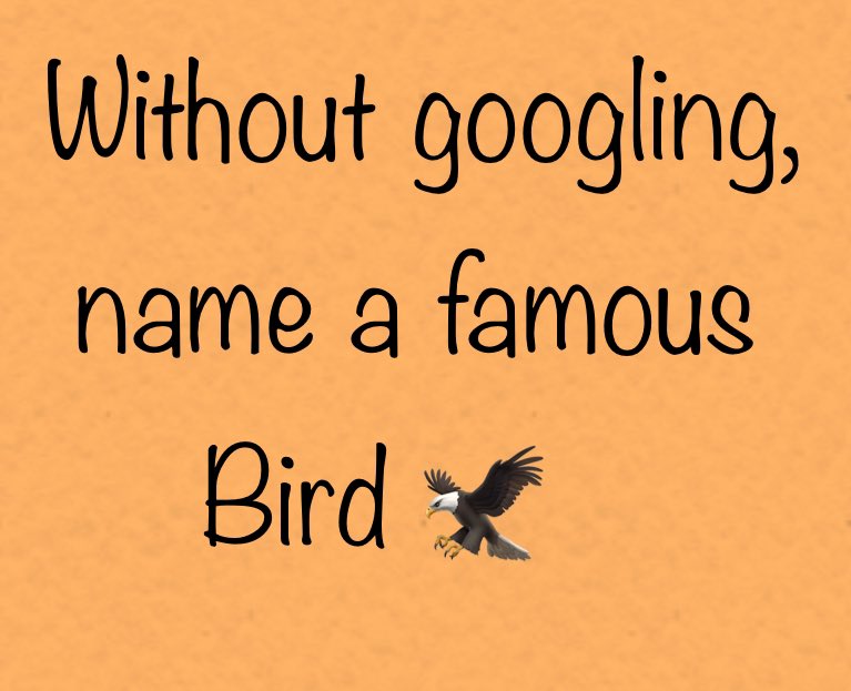 El Gallo 🇺🇸🇩🇴☘️ tweet media