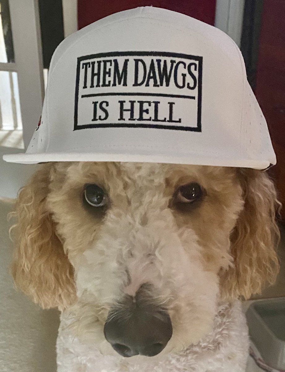 doodadawg1's tweet photo. Them Dawgs Is Hell‼️‼️‼️
#BeatLittleBrother ❌🐝❌ https://t.co/lUkLRbAwOa