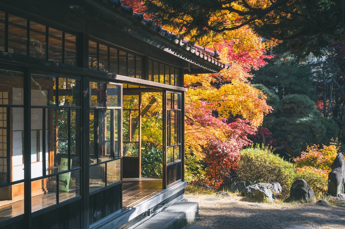 megu (@photo_c_mei) / Posts / X