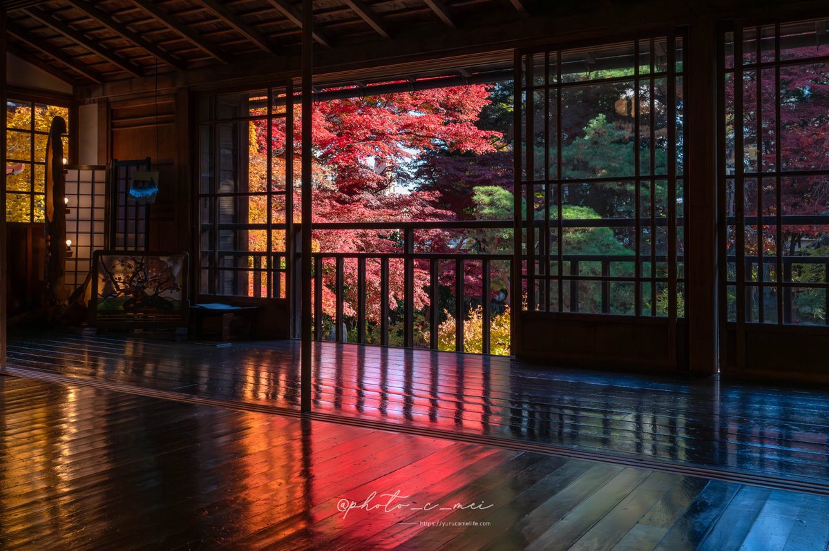 megu (@photo_c_mei) / Posts / X