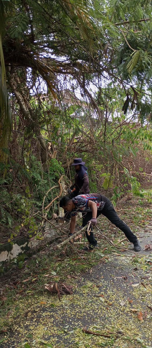 mpportdickson's tweet photo. ADUAN POKOK TUMBANG

27 November 2024 (Rabu)
Pasukan Unit Tindakan Khas dan Penyelenggaraan Kecil, Jabatan Kejuruteraan, MPPD telah melaksanakan kerja-kerja pembersihan dan pemotongan pokok tumbang di sekitar Bandar Springhill setelah menerima aduan daripada orang awam. https://t.co/h6SvRryolV