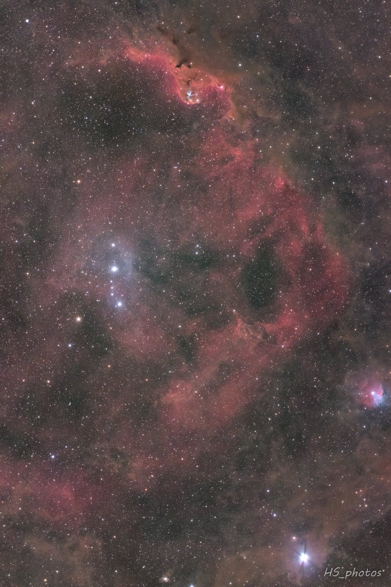 2024/11/25 新潟県天蓋高原
Sh2-264(エンゼルフィッシュ星雲)

お初の星雲を撮りました！
オリオン座の上にあるエンゼルフィッシュ星雲になります～
270ｍｍフルサイズで画角いっぱいいっぱいです(;´･ω･)