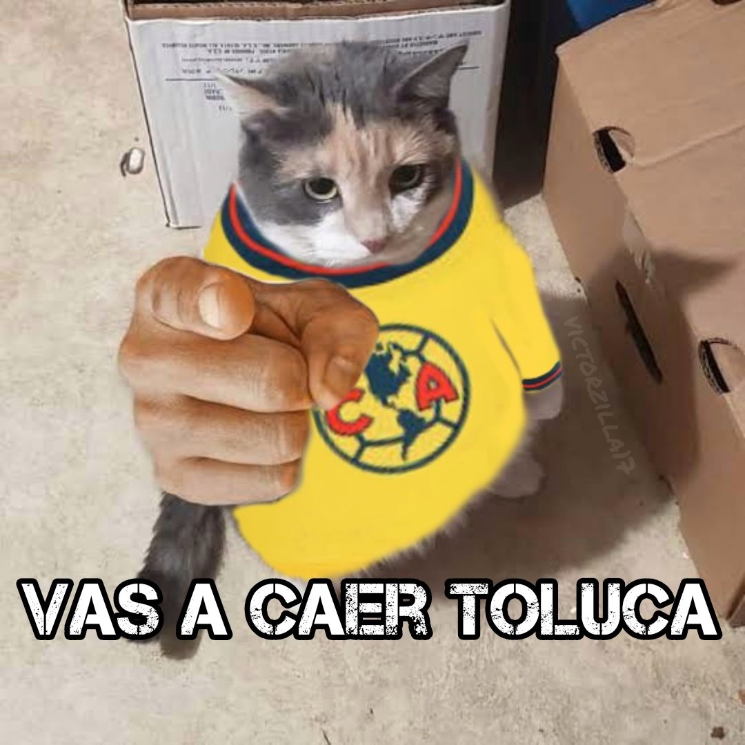 Desde temprano con la Amarilla vengativa bien puesta 🦅