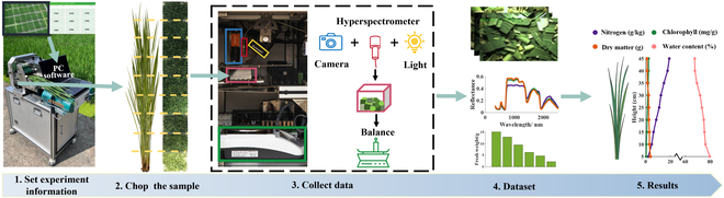 PPhenomics's tweet photo. Introducing Bio-Master: a phenotyping system that efficiently measures crop biochemical profiles with high accuracy. It assesses dry matter, water, chlorophyll, and nitrogen content in rice plants. #BioMaster #CropPhenotyping
Details: https://t.co/rzS0ZkMxV1 https://t.co/SglatSHpb6
