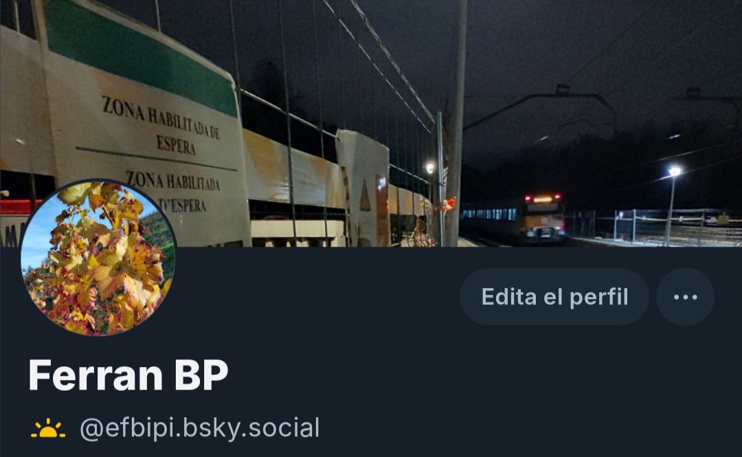 Ferran BP tweet media