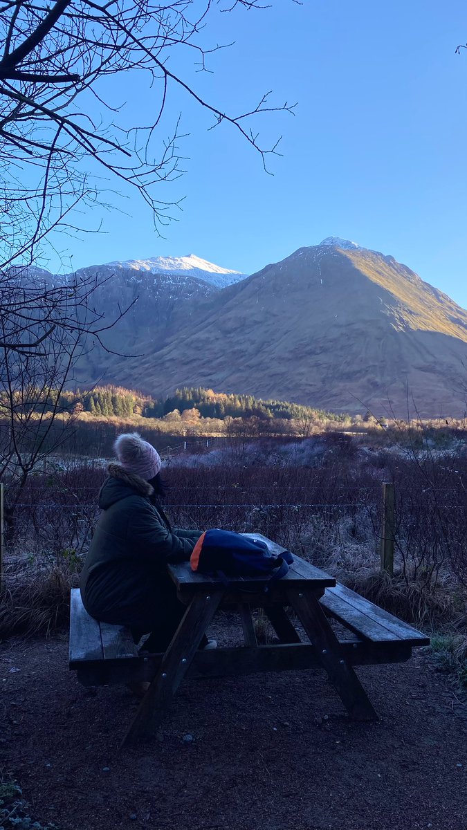 Ika Ferrer Gotić tweet media