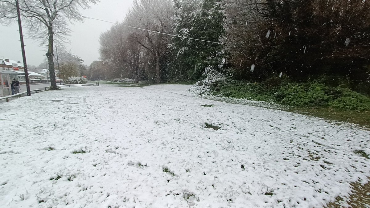 Andrew John Luke Burns tweet media