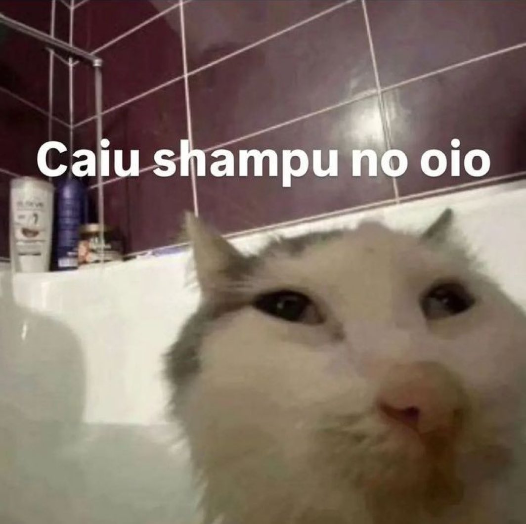 Galinhainsegura's tweet photo. https://t.co/Kj9wuZas4I