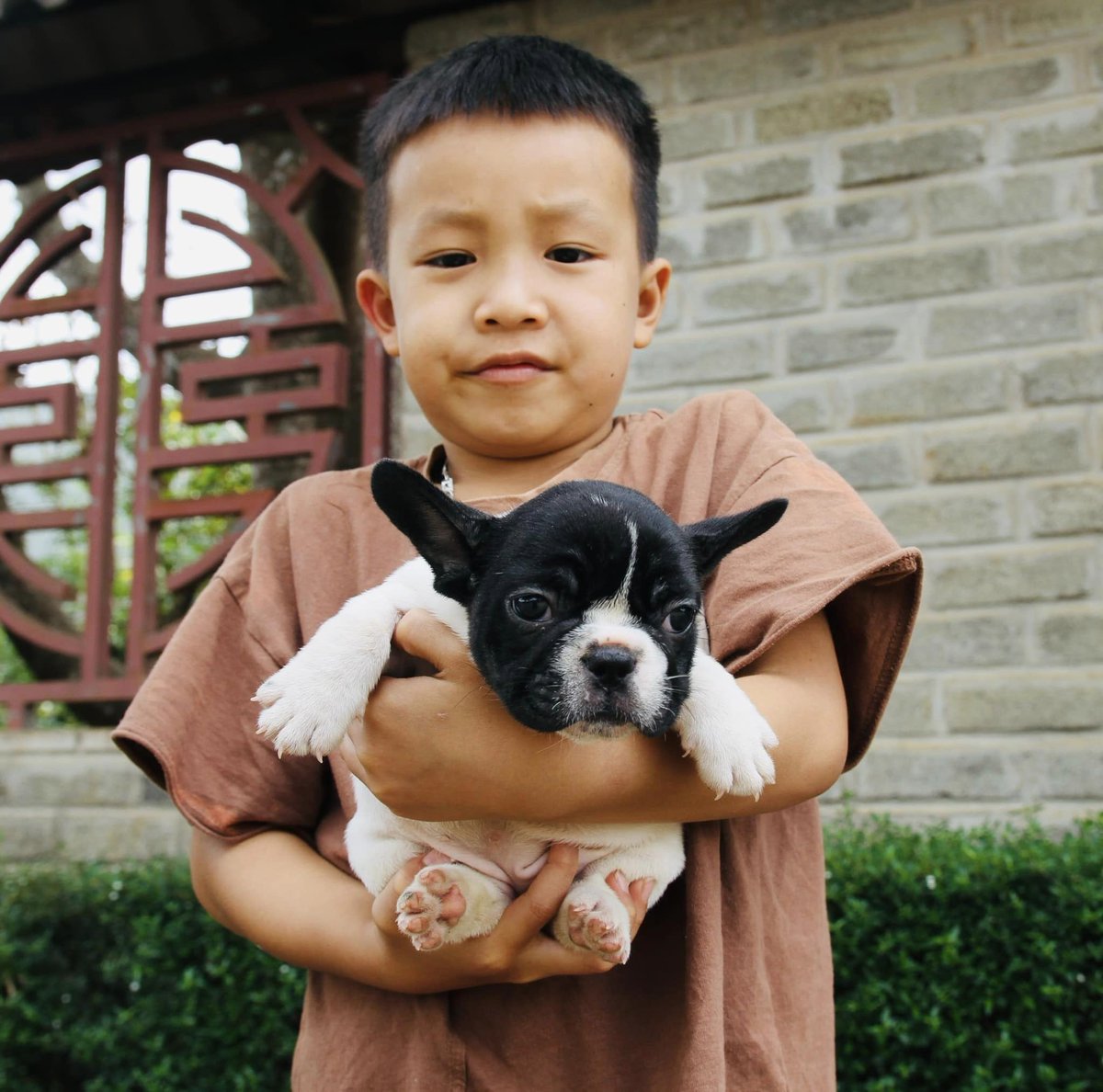 jerbi.faouzi tweet media