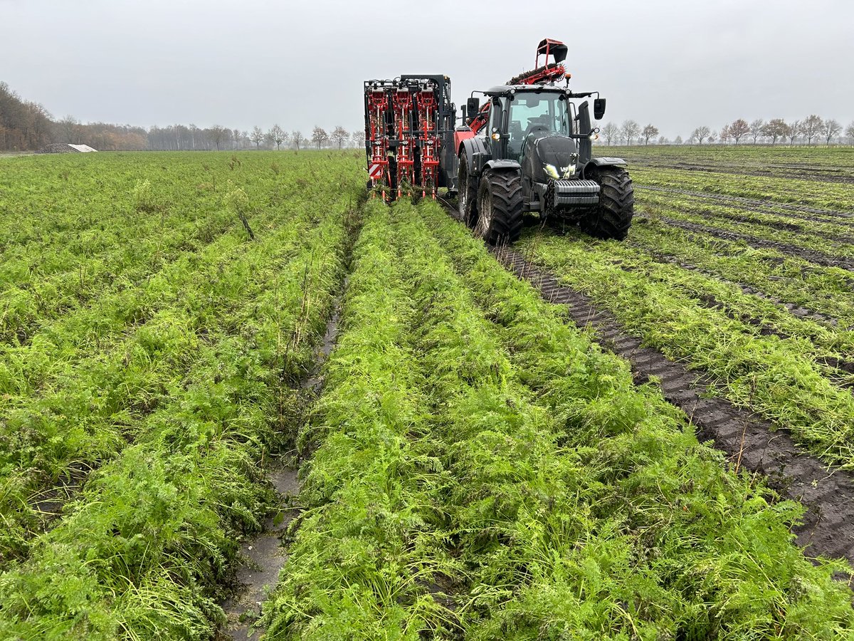 dax_buth's tweet photo. Beetje strijden in het oosten van het land https://t.co/S7omP3rGqI