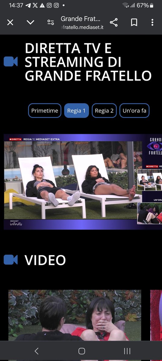 #grandefratello I cavalli vincenti di questo GF,ecco spiegato il tracollo dei ascolti,il nulla mischiato con niente...😬