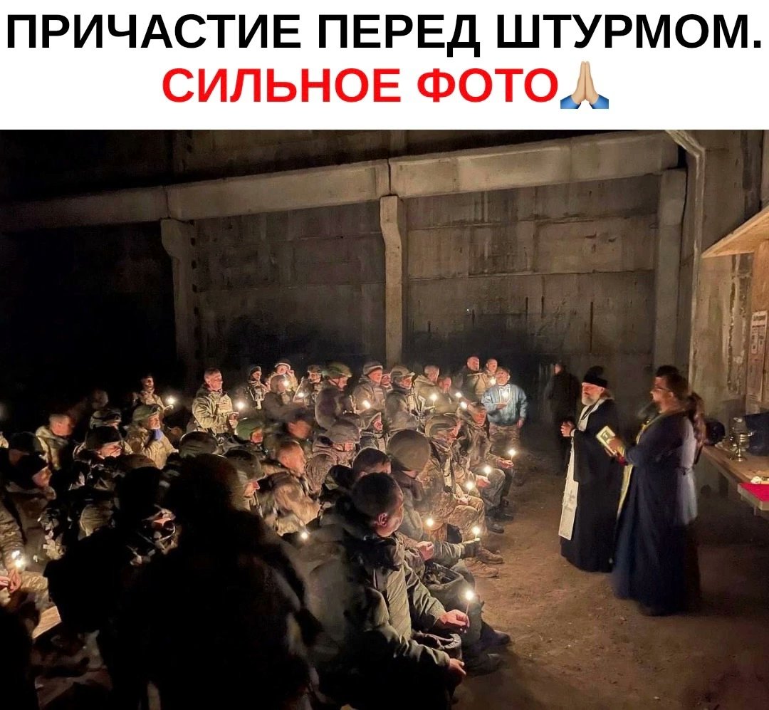 Боевой Ме///ведь (@victiri38457455) on Twitter photo 