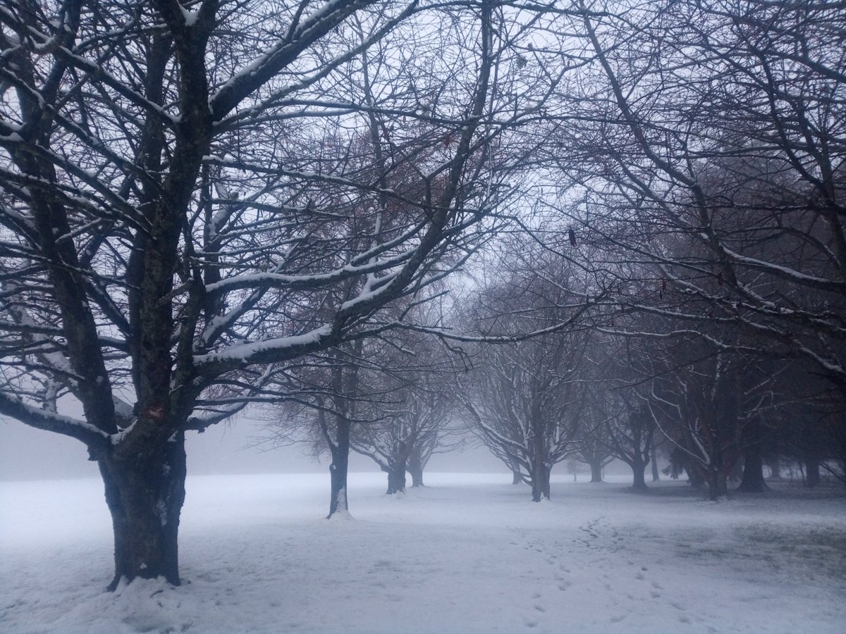 Forest Research Society and Env. Research Group (@fr_serg) on Twitter photo As it's #NationalTreeWeek and we're all working hard in <a href="/FR_SERG/">Forest Research Society and Env. Research Group</a> we thought we'd share a nice atmospheric and snowy tree photo from #StormBert As it's #NationalTreeWeek and we're all working hard in <a href="/FR_SERG/">Forest Research Society and Env. Research Group</a> we thought we'd share a nice atmospheric and snowy tree photo from #StormBert