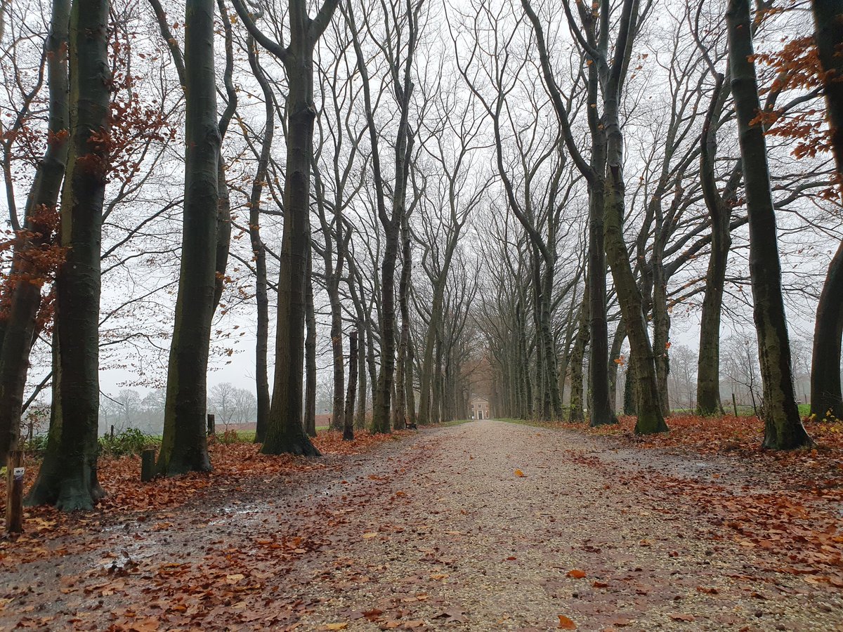 Natuurzorg_'s tweet photo. We zijn terug op landgoed #Kernhem. Met onze deelnemers voeren we verschillende onderhoudswerkzaamheden uit. Mooie samenwerking met @GemeenteEde. #natuur #landgoed #Ede https://t.co/VKyUU21O0D