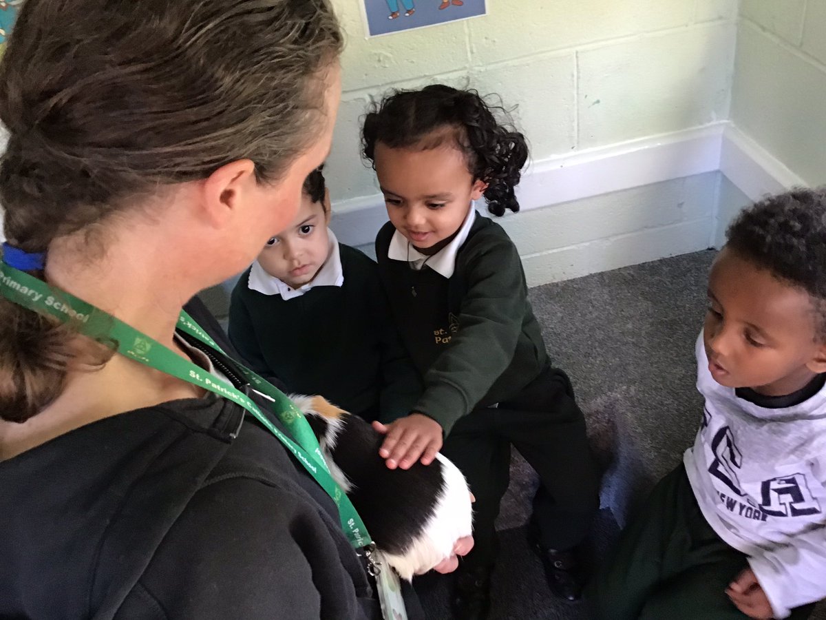 What a lovely visitors! Mrs Potts brought her two Guinea pigs Bill and Ted to see us. We were super quiet so we didn’t scare them and hopefully they will come again.
<a href="/st_patricks/">St Patricks Primary</a>