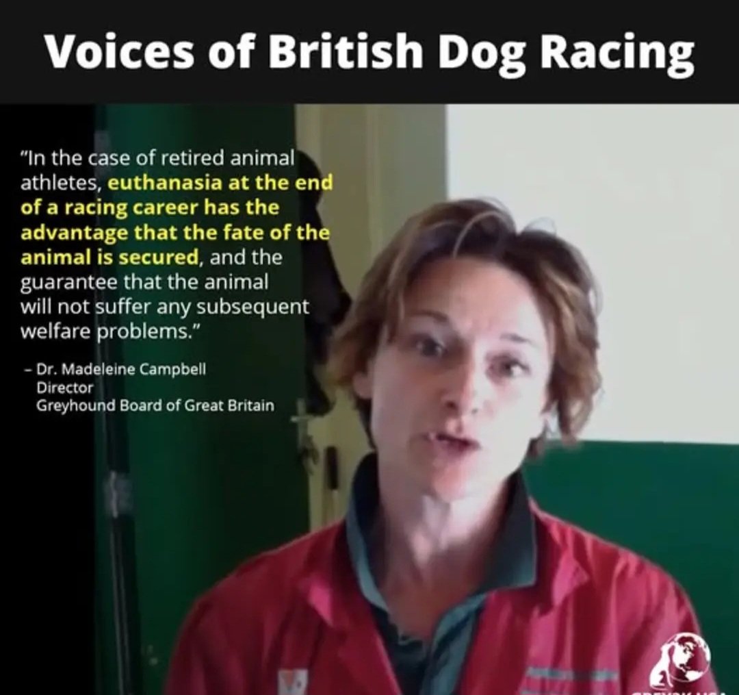 This is the ugly reality of greyhound racing. And remember, 85% of greyhounds raced in the UK are lrish dogs. This, dear taxpayer, is what YOUR money is being spent on. Shameful! <a href="/SimonHarrisTD/">Simon Harris TD</a> <a href="/MichealMartinTD/">Micheál Martin</a> <a href="/MaryLouMcDonald/">Mary Lou McDonald</a> <a href="/ivanabacik/">Ivana Bacik</a> <a href="/HollyCairnsTD/">Holly Cairns TD</a> <a href="/rodericogorman/">Roderic O’Gorman TD</a>