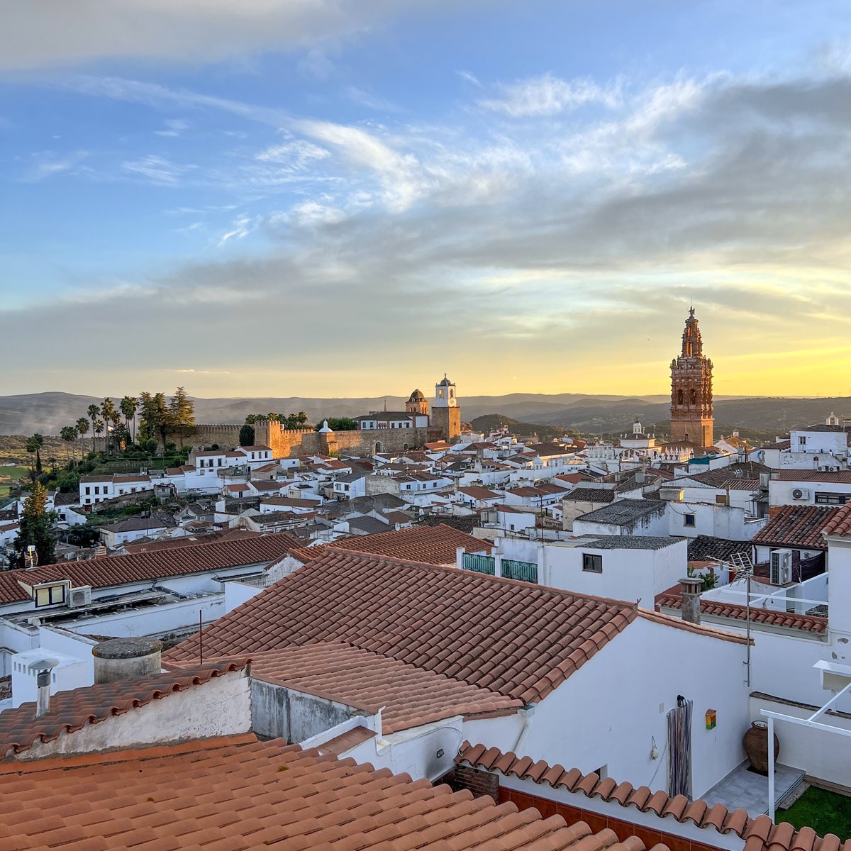 Pipper on tour tweet media