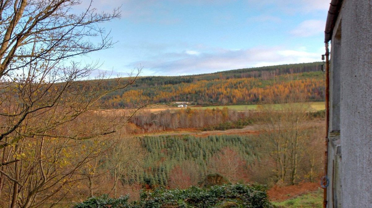 📢 NEW, NEW, NEW📢 
Blackhillock Steading Cottage - A charming traditional cottage, in need of renovation, set in a peaceful and attractive, rural setting. Call our team for more information on 01463 224343 ☎️ or check out our website 👇
galbraithgroup.com/property/elg24…