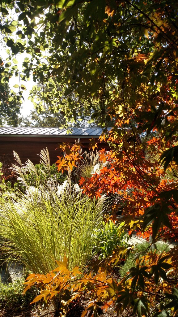 Laura Bassett tweet media