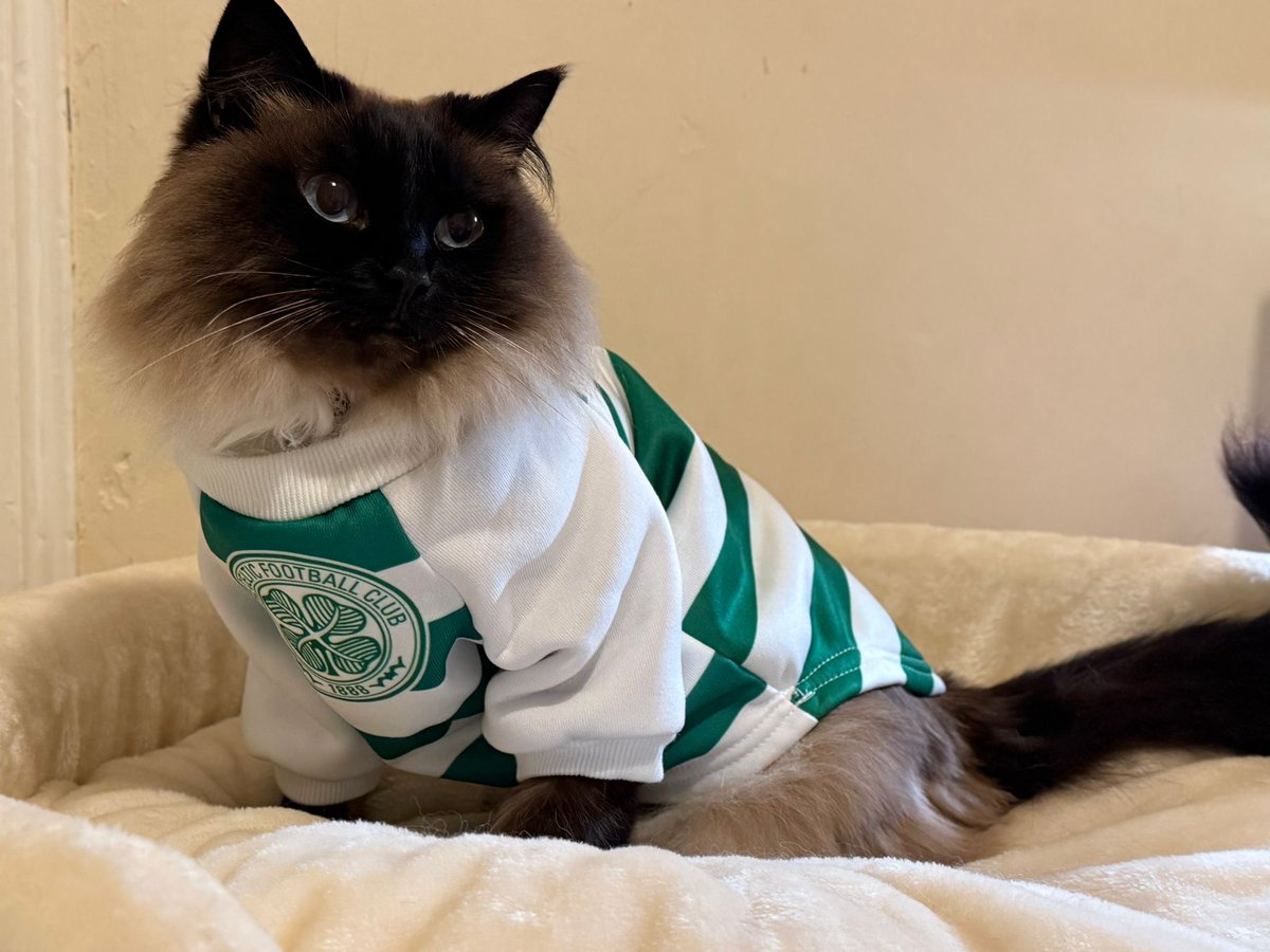 Digital Six® tweet media