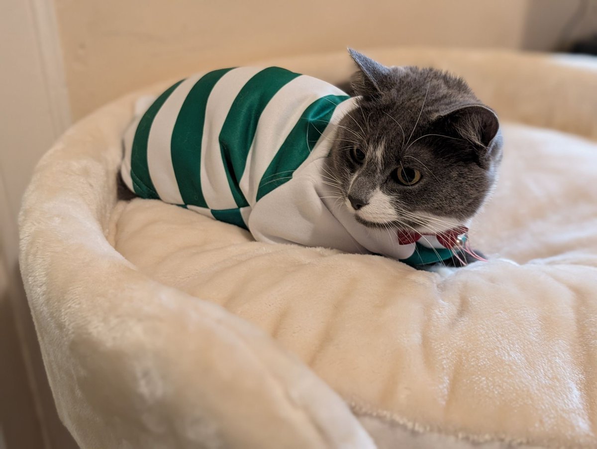 Digital Six® tweet media