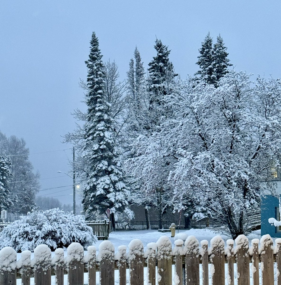 Piroska_Bata's tweet photo. Grand Rising beautiful souls, all seasons bring change - let nature teach us how to flow with ease. #nature #FlowWithGrace #FlowWithEase #naturephotography #snow #pinetrees #snowfall #winteriscoming #winterishere https://t.co/l5EtFyiwCk