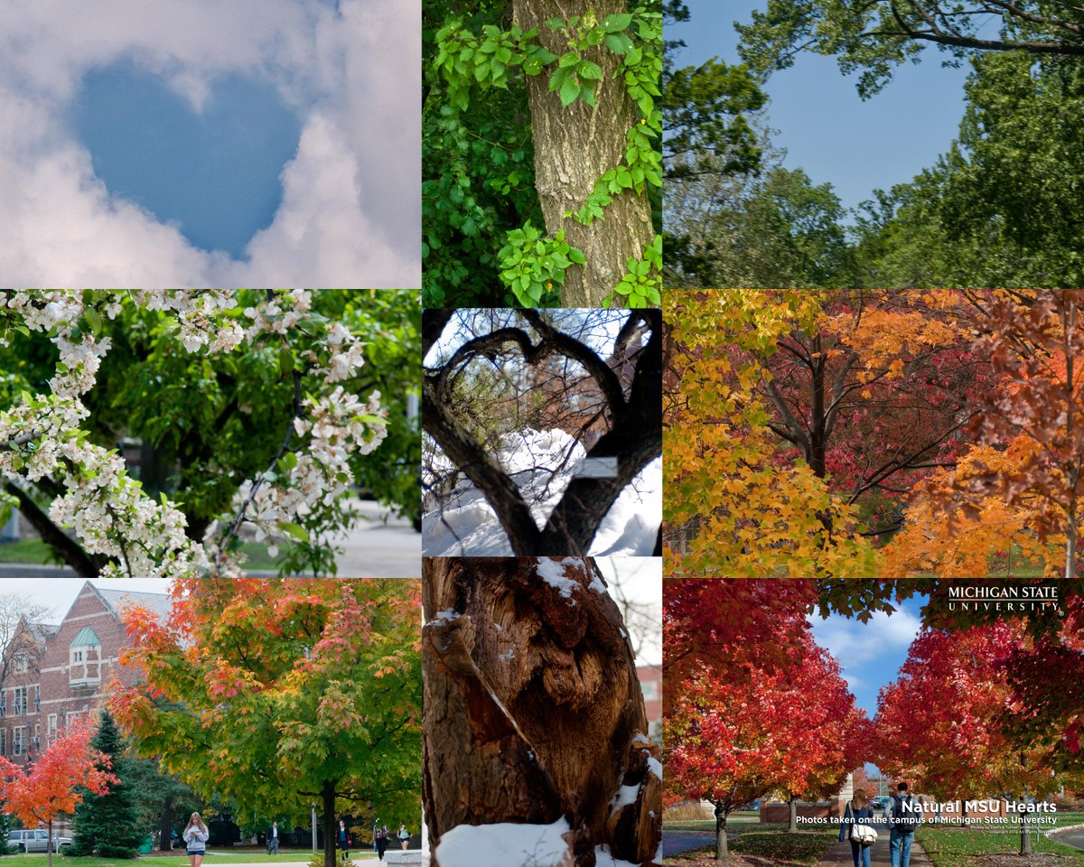 Thankful to be a Spartan. 💚