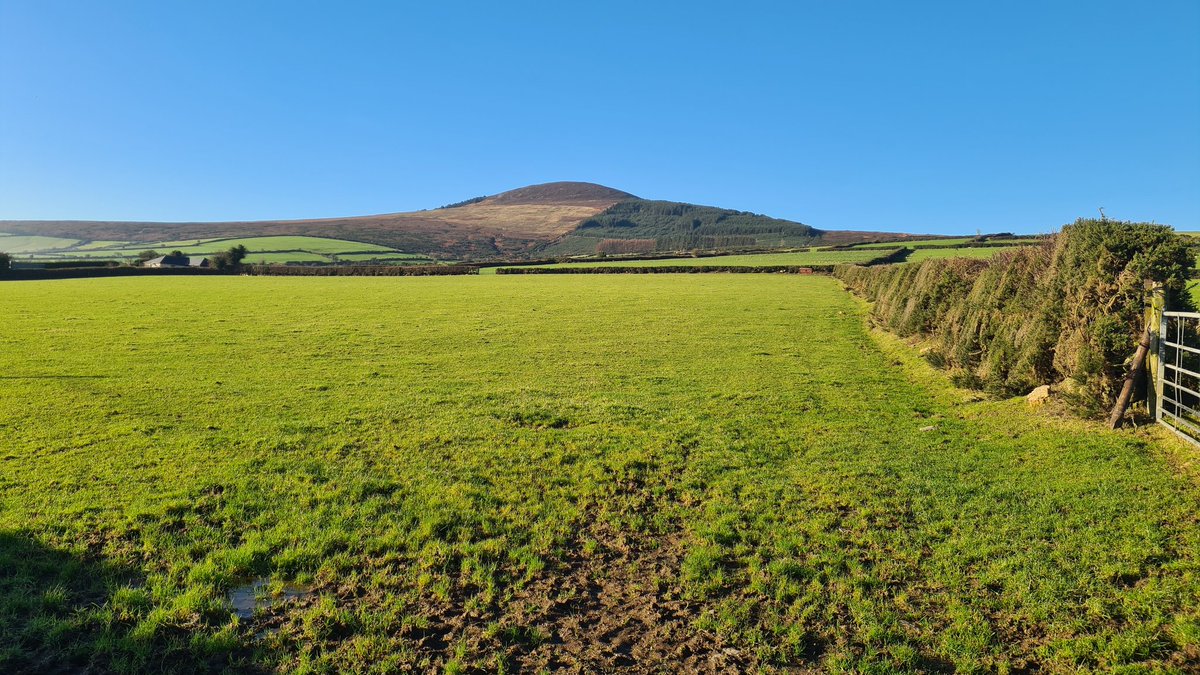 Wfskelton's tweet photo. Nice cool day here near Bunclody https://t.co/99NHSsmp37