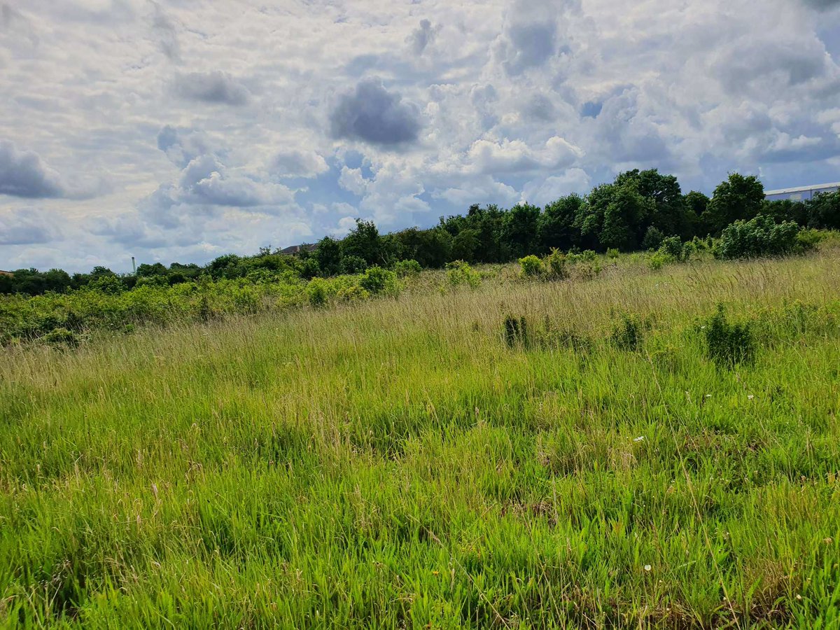 knotweedLTD's tweet image. Planning a new construction or development project in the spring? Shrub and vegetation clearance is essential in preparing land for development. Get your land 'development-ready': tinyurl.com/2u4xddwm
#LandDevelopment #VegetationManagement